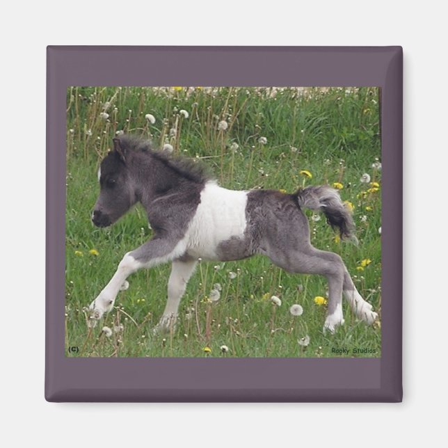 Imã Mini Horse Magnet (Frente)