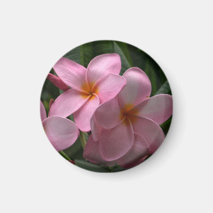Imã Mini-ímã do Frangipani