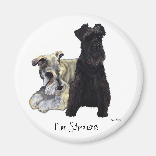 Imã Mini Schnauzers - Magnet (Frente)