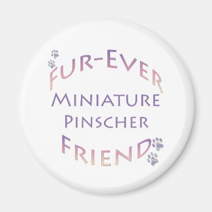 Imã Miniatura Pinscher Fuore