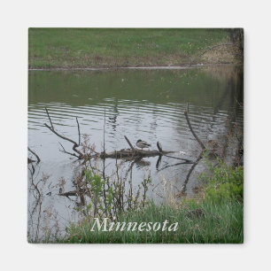 Imã Minnesota