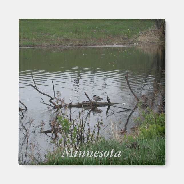 Imã Minnesota (Frente)