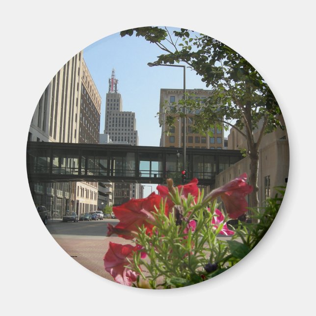 Imã Minnesota, Rua. (Frente)