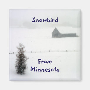 Imã Minnesota Snowbird Magnet