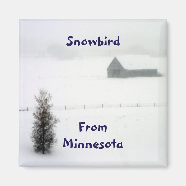 Imã Minnesota Snowbird Magnet (Frente)