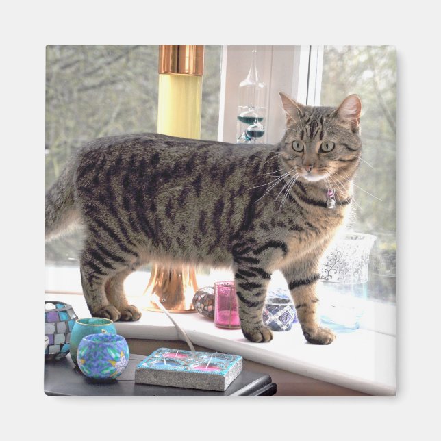 Imã Minnie (Frente)