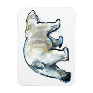 Ímã MInt do Glaciar