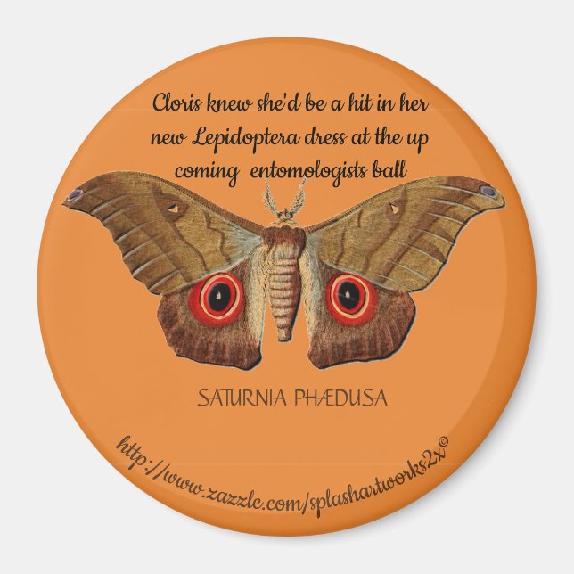 Imã "Miss SATURNIA PHAEDUSA" (Frente)