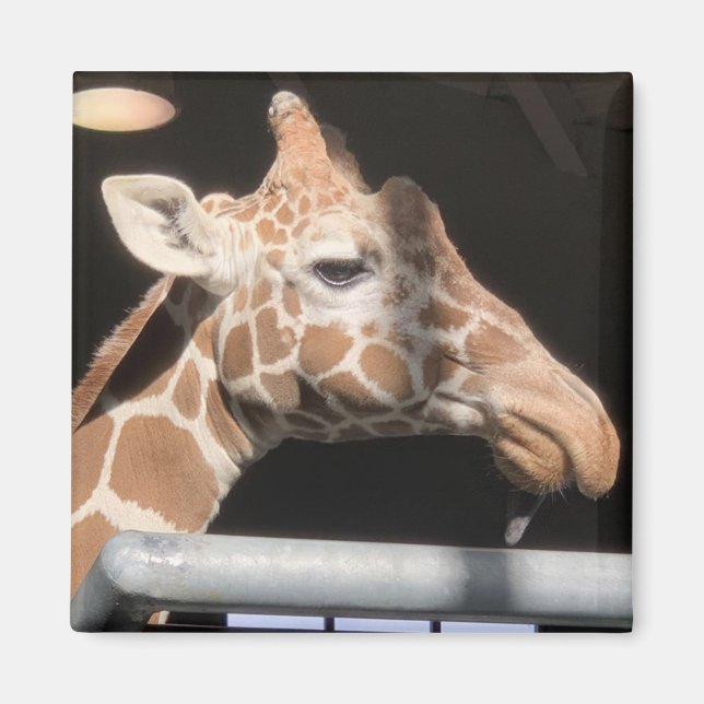 Imã Missy Magnet nº 1 (Frente)