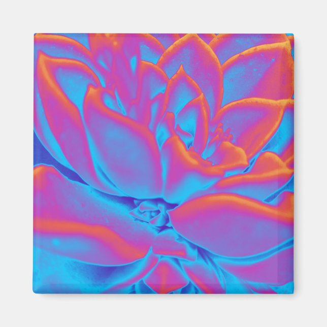 Imã Mistério de sucesso (Frente)