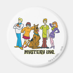 Imã Mistério inteiro Inc do grupo 12