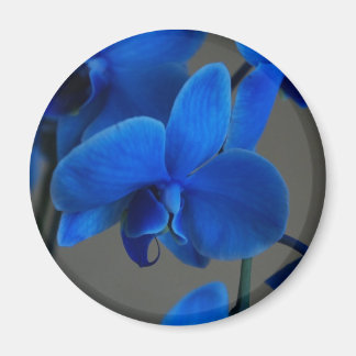 Imã Mística Azul