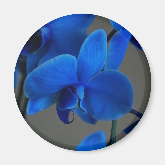 Imã Mística Azul (Frente)