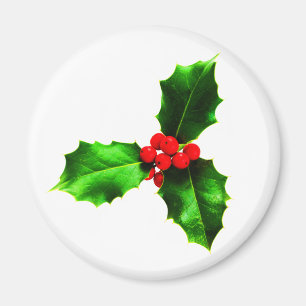 Imã Mistletoe