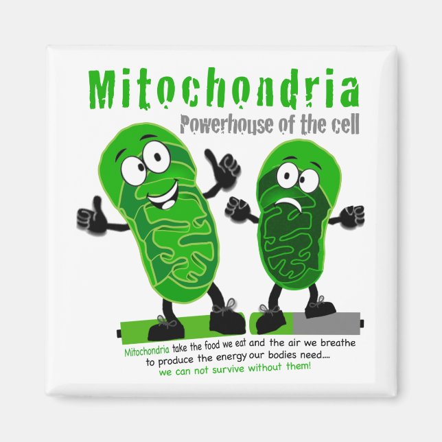 Imã Mitocôndria Powerhouse da Célula (Frente)