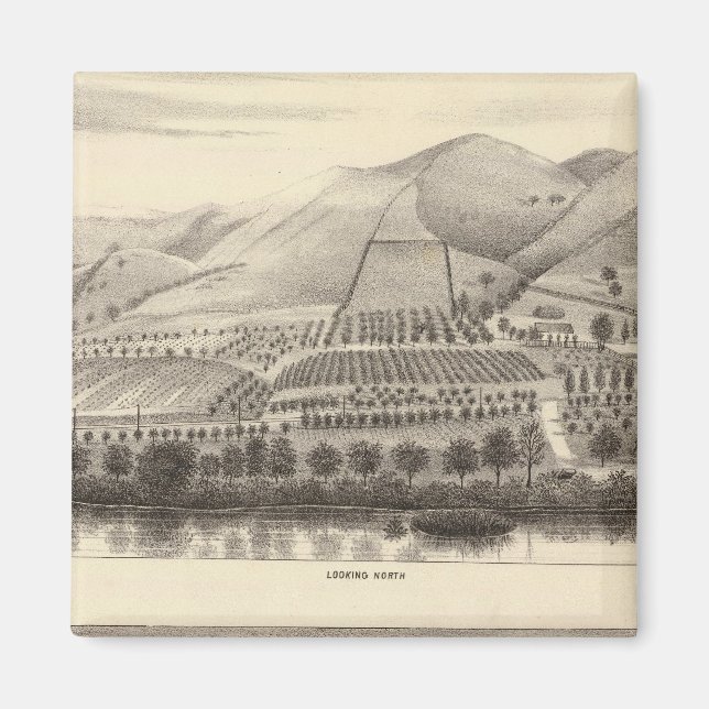 Imã Mizzen Top Rancho (Frente)