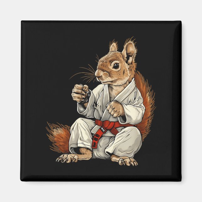 Imã MMA Esquilo Jiu-Jitsu Judô Kickboxing Kung Fu (Frente)