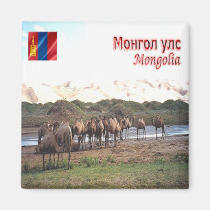 Imã MN - Mongólia - Khongoryn Els Camels