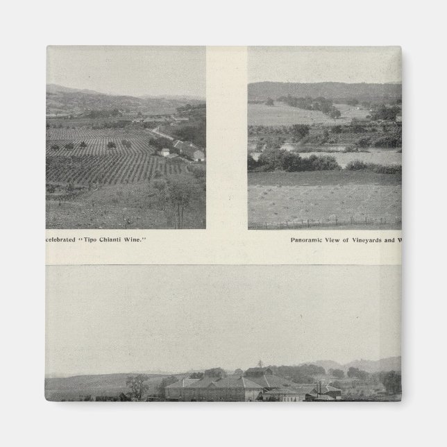 Imã Model Vineyards, Califórnia (Frente)