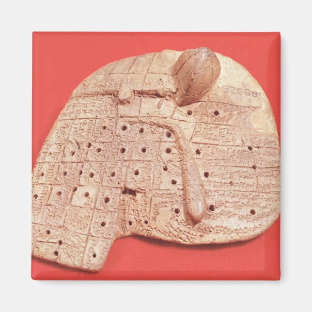 Imã Modelo de fígado de ovelha (Frente)