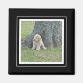 Imã Modelo de Foto Personalizada Preto e Branco Verdad