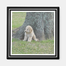 Modelo de Foto Personalizada Preto e Branco Verdad