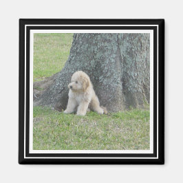 Imã Modelo de Foto Personalizada Preto e Branco Verdad