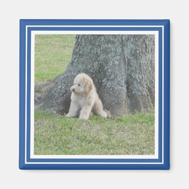 Imã Modelo de Foto Personalizado Elegante Azul Real e  (Frente)