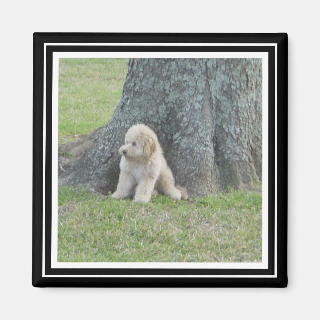 Imã Modelo de Fotografia Personalizado Preto e Branco  (Frente)