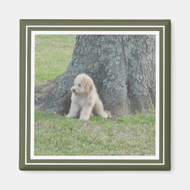 Imã Modelo de Fotografia Personalizado Verde e Branco (Frente)