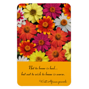 Ímã Modelo de Zinnias Coloridas do Magneter