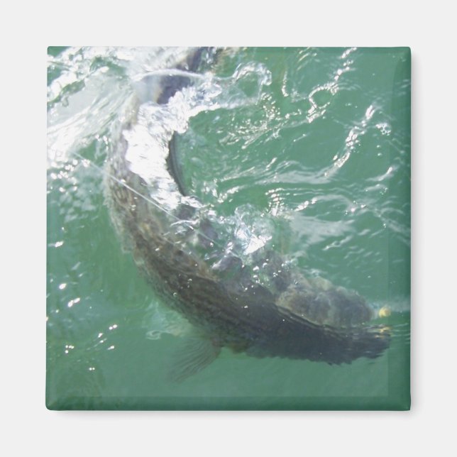 Imã Modelo do Magnet (Frente)