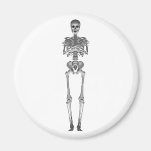 Imã Modelo Skeleton 3d: