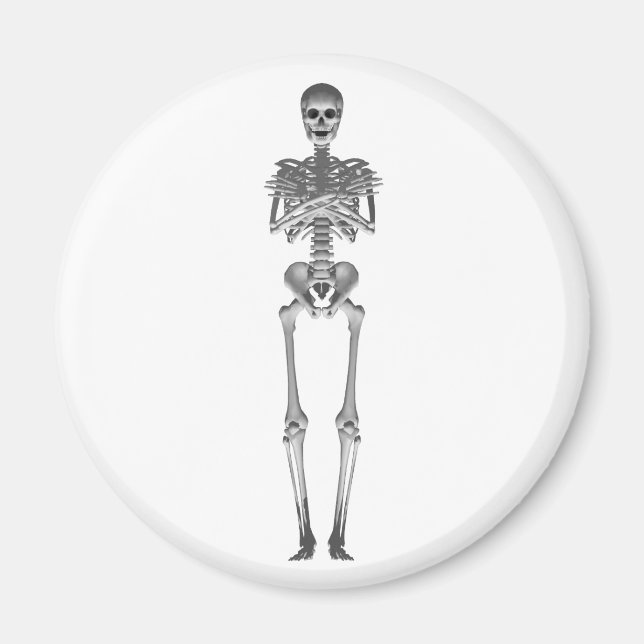 Imã Modelo Skeleton 3d: (Frente)