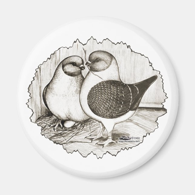 Imã Modena Gazzi Pigeons (Frente)