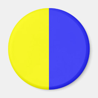 Imã Modena, Itália