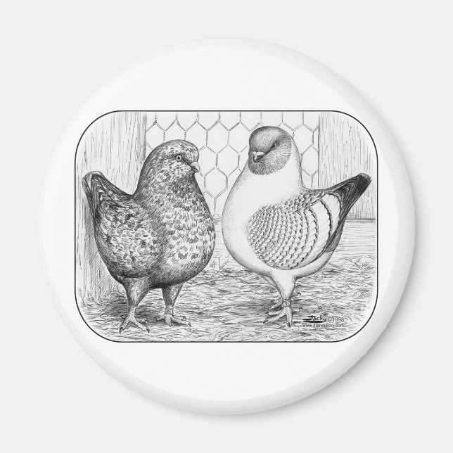 Imã Modenas Dois (Frente)