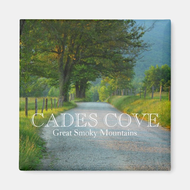 Imã Moedas com lane de faísca (Frente)