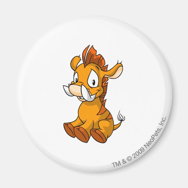 Imã Moehog Orange (Frente)