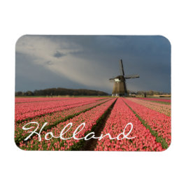 Ímã Moinho de vento com tulipas rosa em primavera