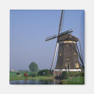 Imã Moinhos de vento, Leidschendam, Holanda
