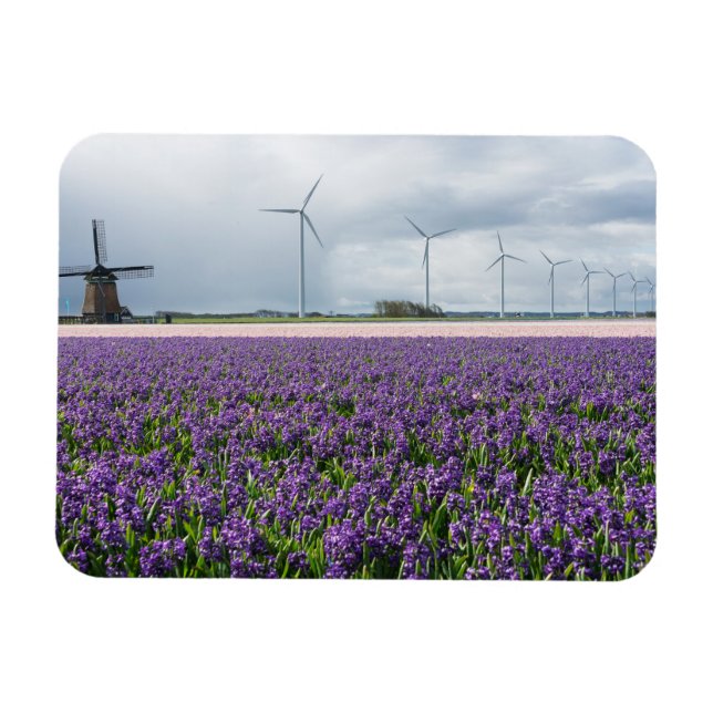 Ímã Moinhos de vento tradicionais e modernos na Holand (Horizontal)