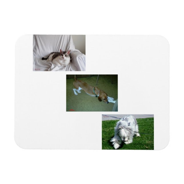 Ímã Moira, Riley e a Colagem de Fotos Tyler (Horizontal)