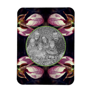 Ímã Moldura De Senhora Rosa Selvagem, Slipper Orchid A