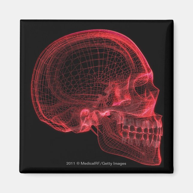 Imã Moldura vermelha de um crânio (Frente)