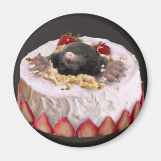 Imã Moles no Bolo de Aniversário