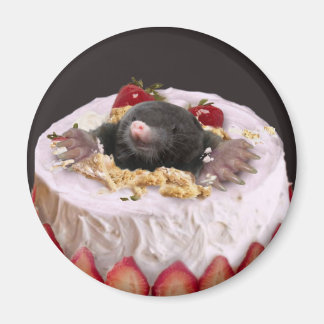 Imã Moles no Bolo de Aniversário