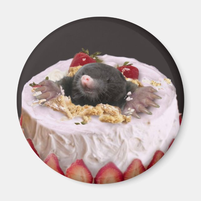 Imã Moles no Bolo de Aniversário (Frente)