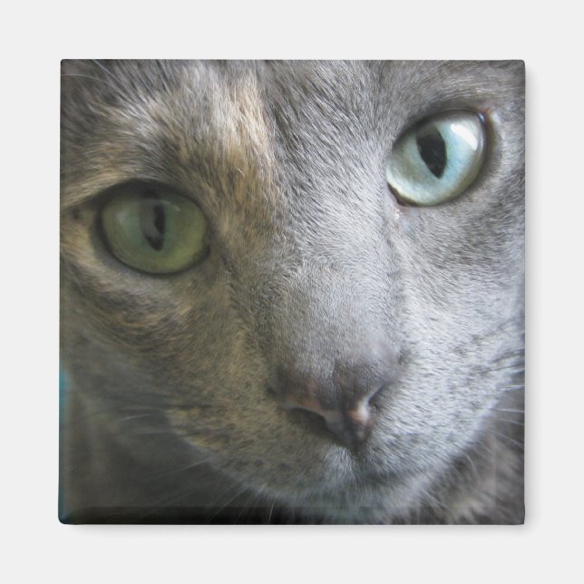 Imã Mollie (Frente)