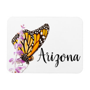 Ímã Monarca empoleirada na lavanda, Arizona